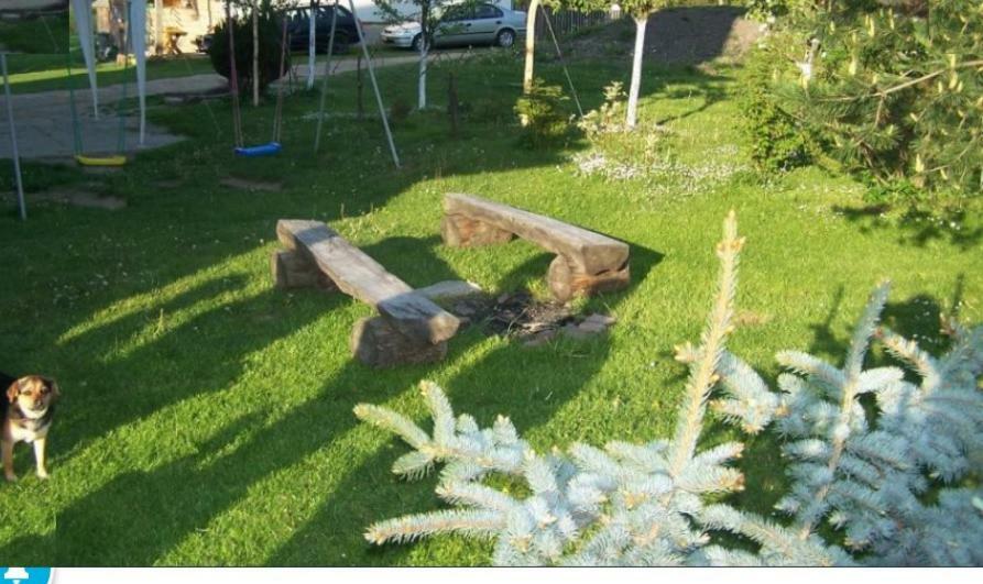 Kwatery Prywatne U Gosi Nad Solina Solina  Exteriör bild